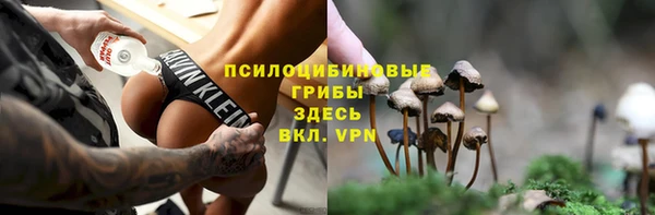 apvp Инта