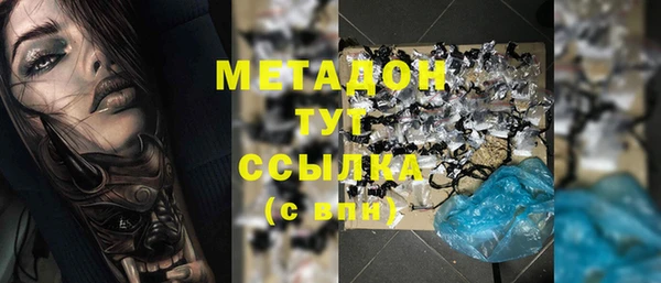 индика Аркадак