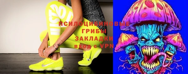 марки lsd Инсар