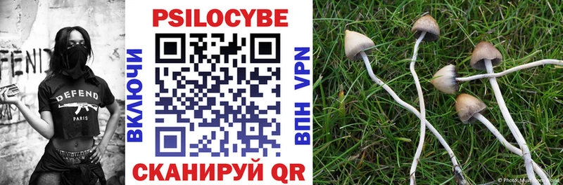 Галлюциногенные грибы Psilocybine cubensis  даркнет сайт  Азов 